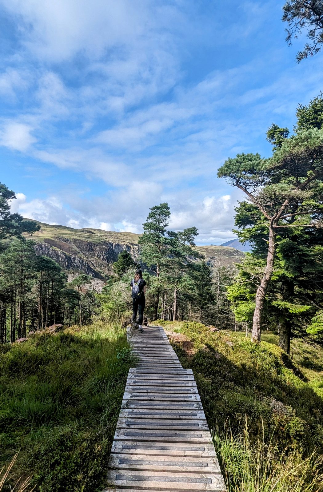 Raven Crag, above Thirlmere