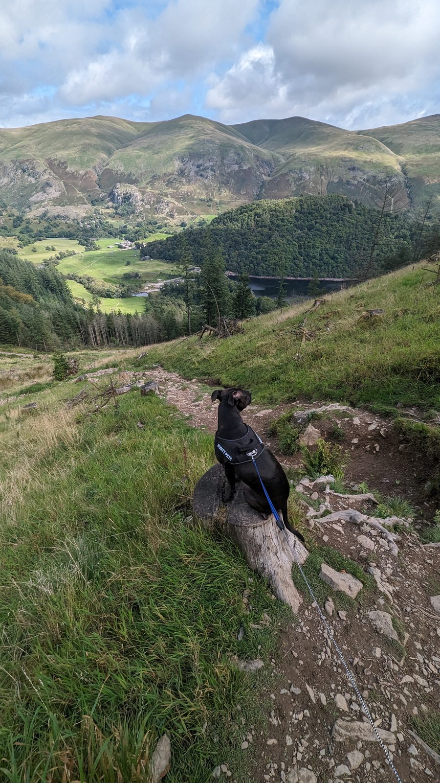 On Raven Crag, above Thirlmere