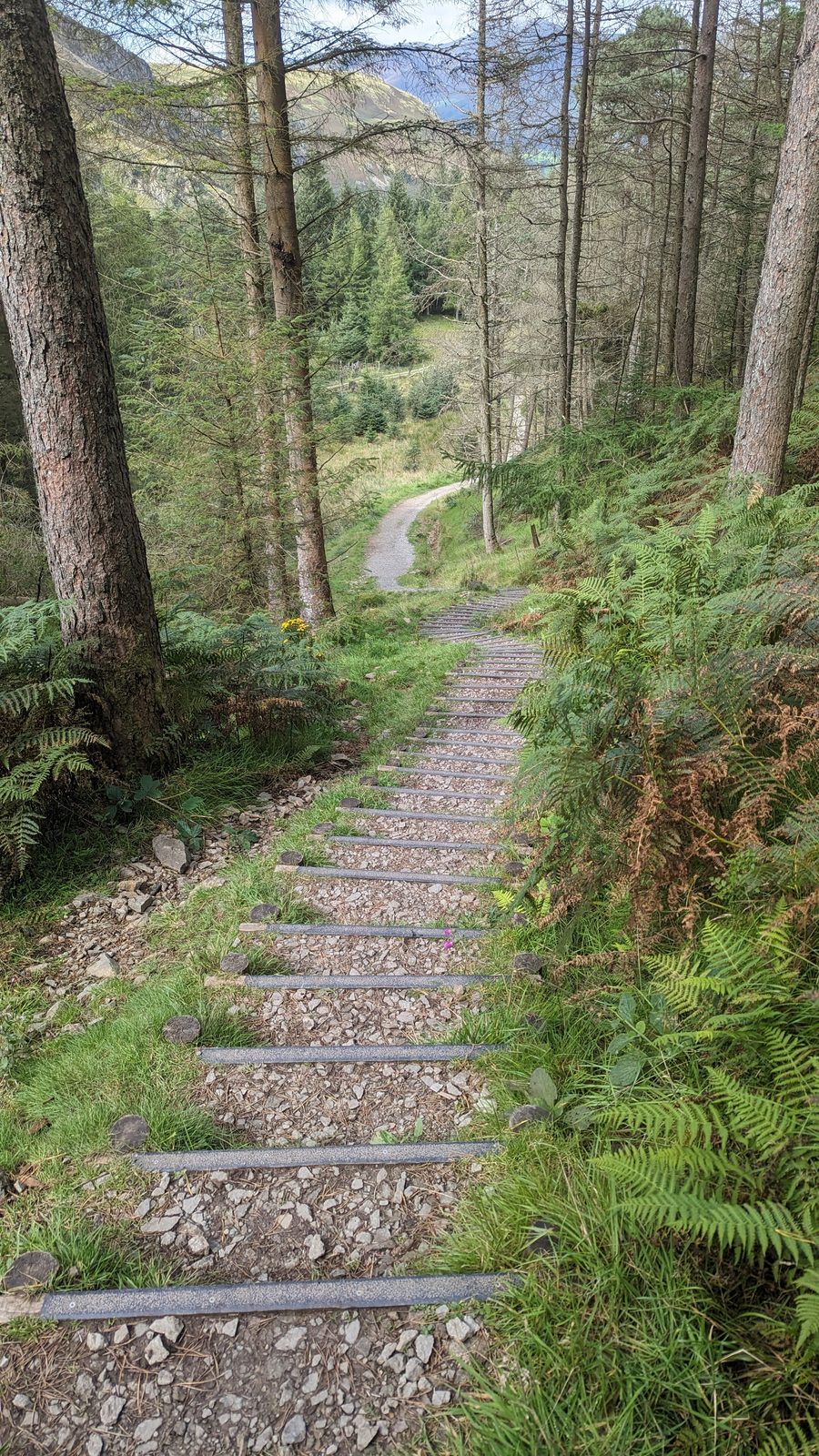 Raven Crag, above Thirlmere