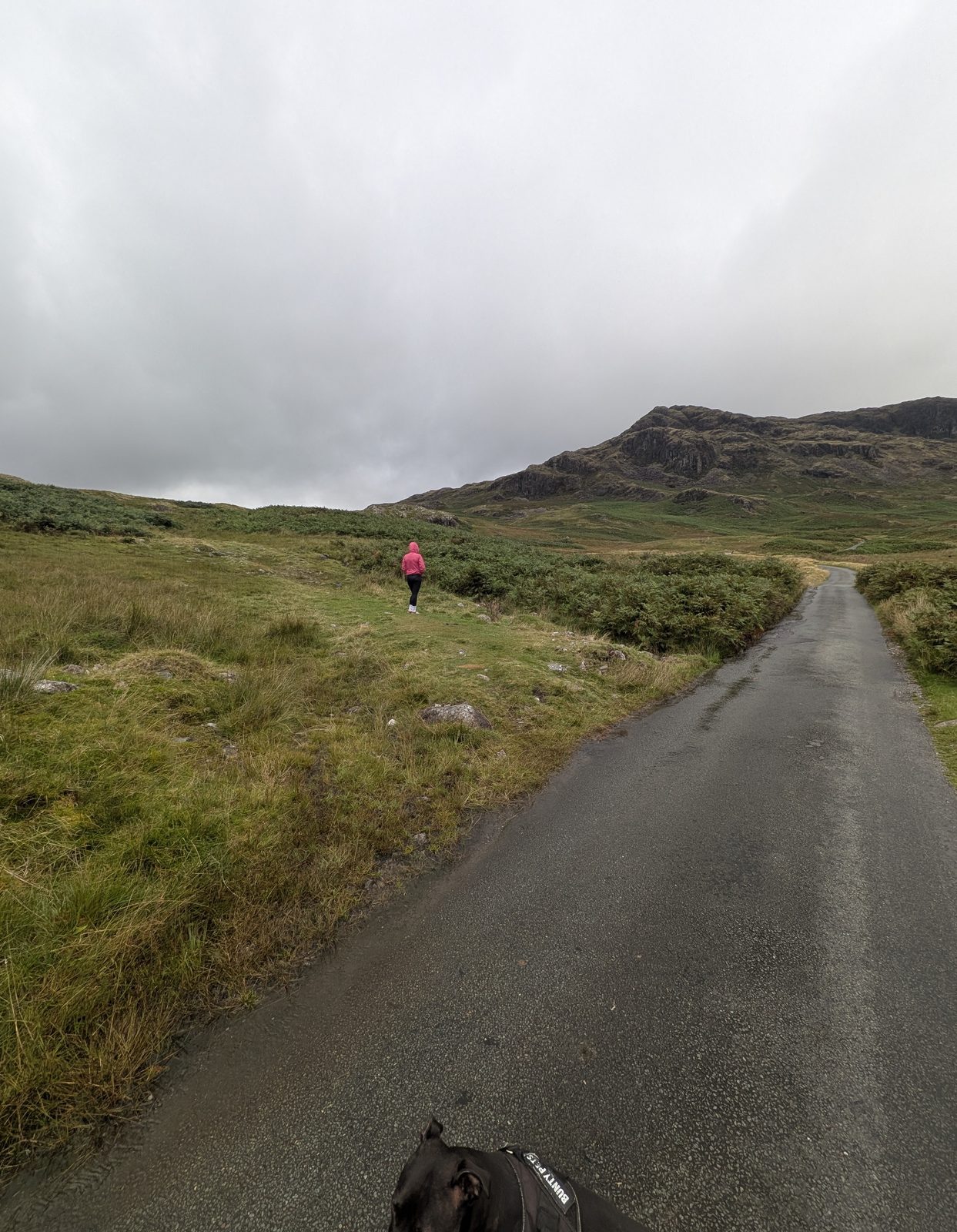 The Hardknott Pass road below the fort, with the fellside opening out to the left and a walker heading up towards the fort