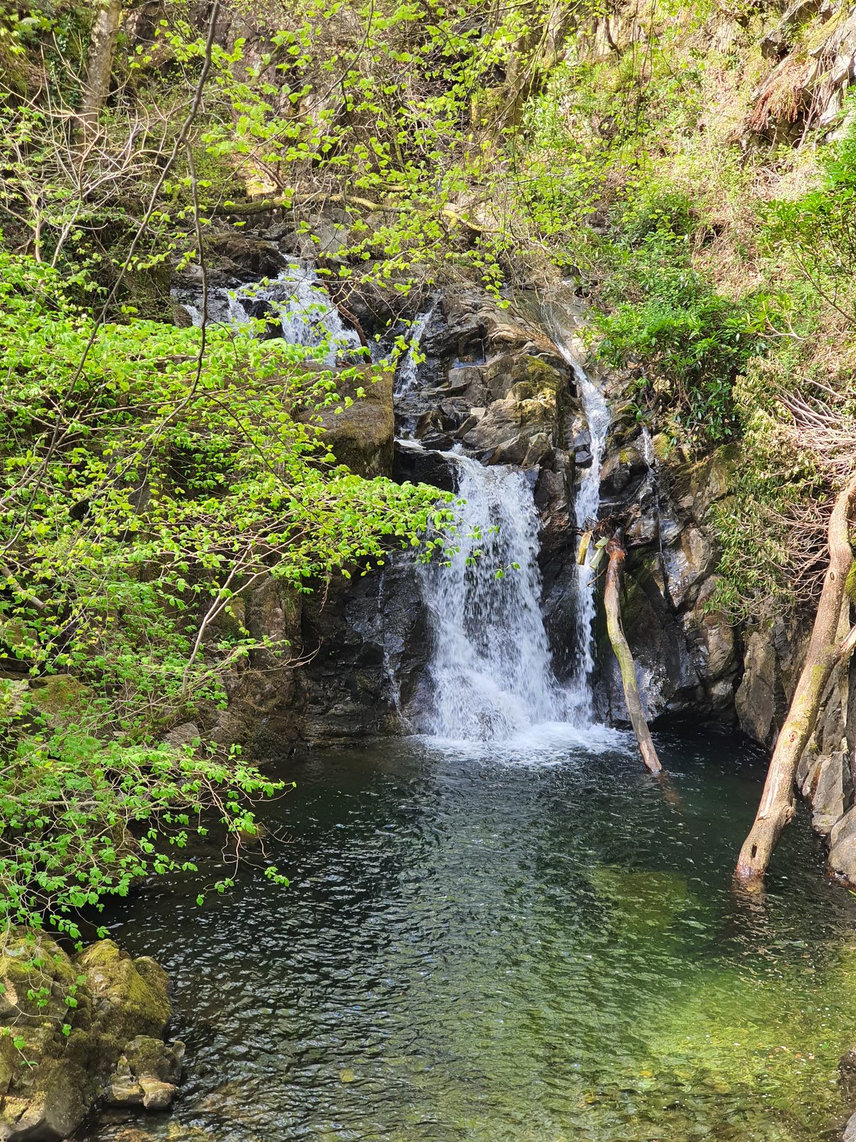 The gardens at Rydal Hall, near Ambleside