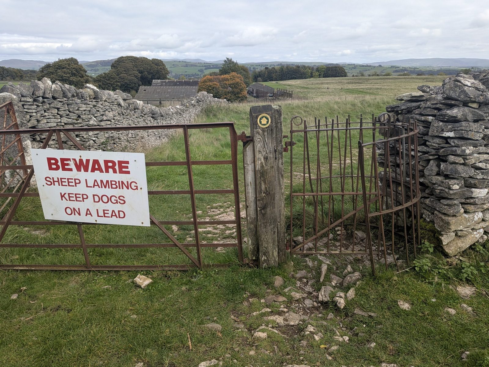 The last gate on the Scout Scar walk, in a drystone wall, with a sign reading Beware, sheep lambing, keep dogs on a lead