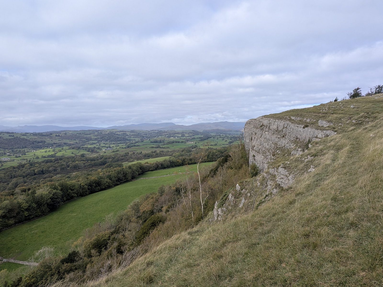 The limestone cliff of Scout Scar dropping to green fields and woodland