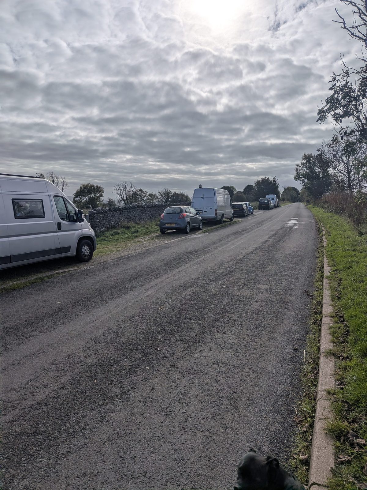 Cars and vans parked along Brigsteer Road just after the A591 bridge, with Cass, a black Staffordshire Bull Terrier, at the bottom of the frame