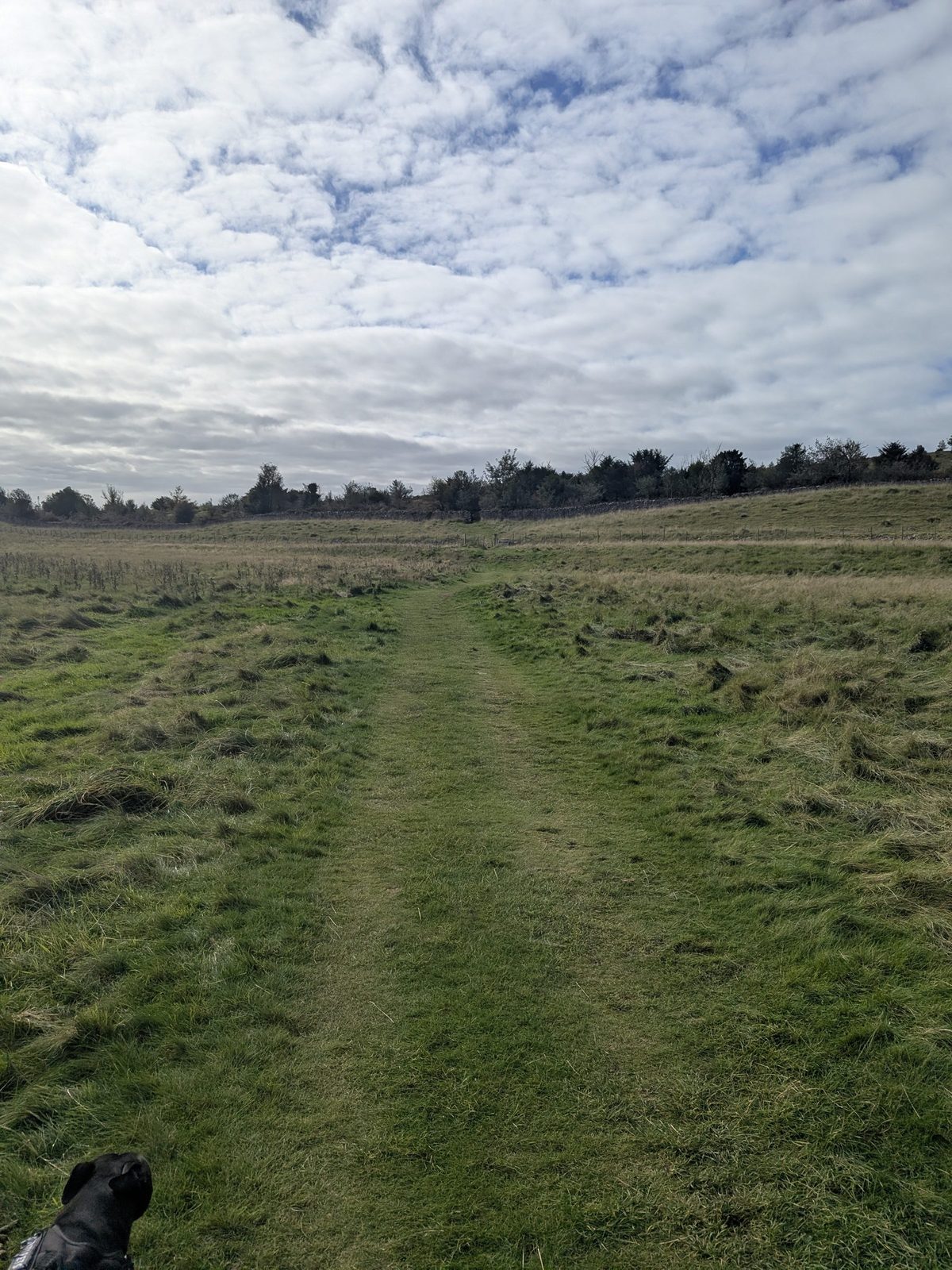 A grassy path across the field from the stile, with Cass, a black Staffordshire Bull Terrier, in the corner of the frame