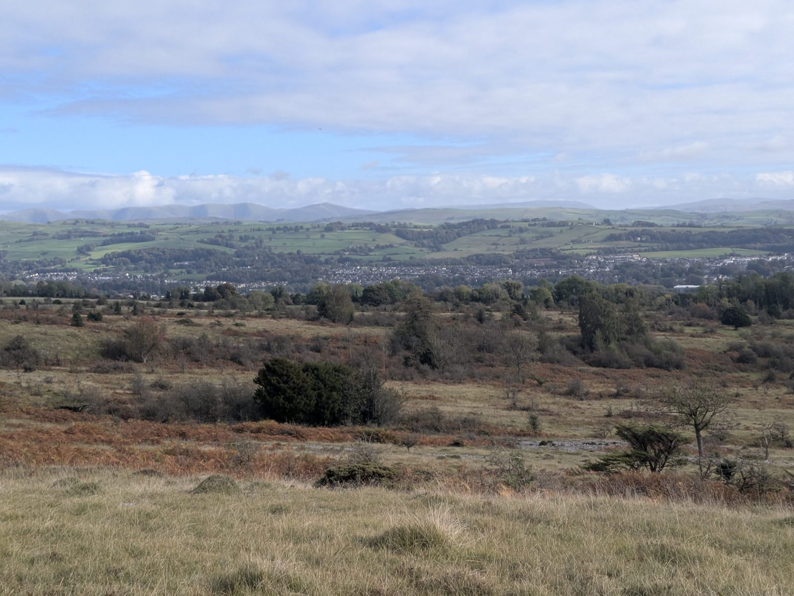 The view over Kendal from Scout Scar, across rough limestone grassland