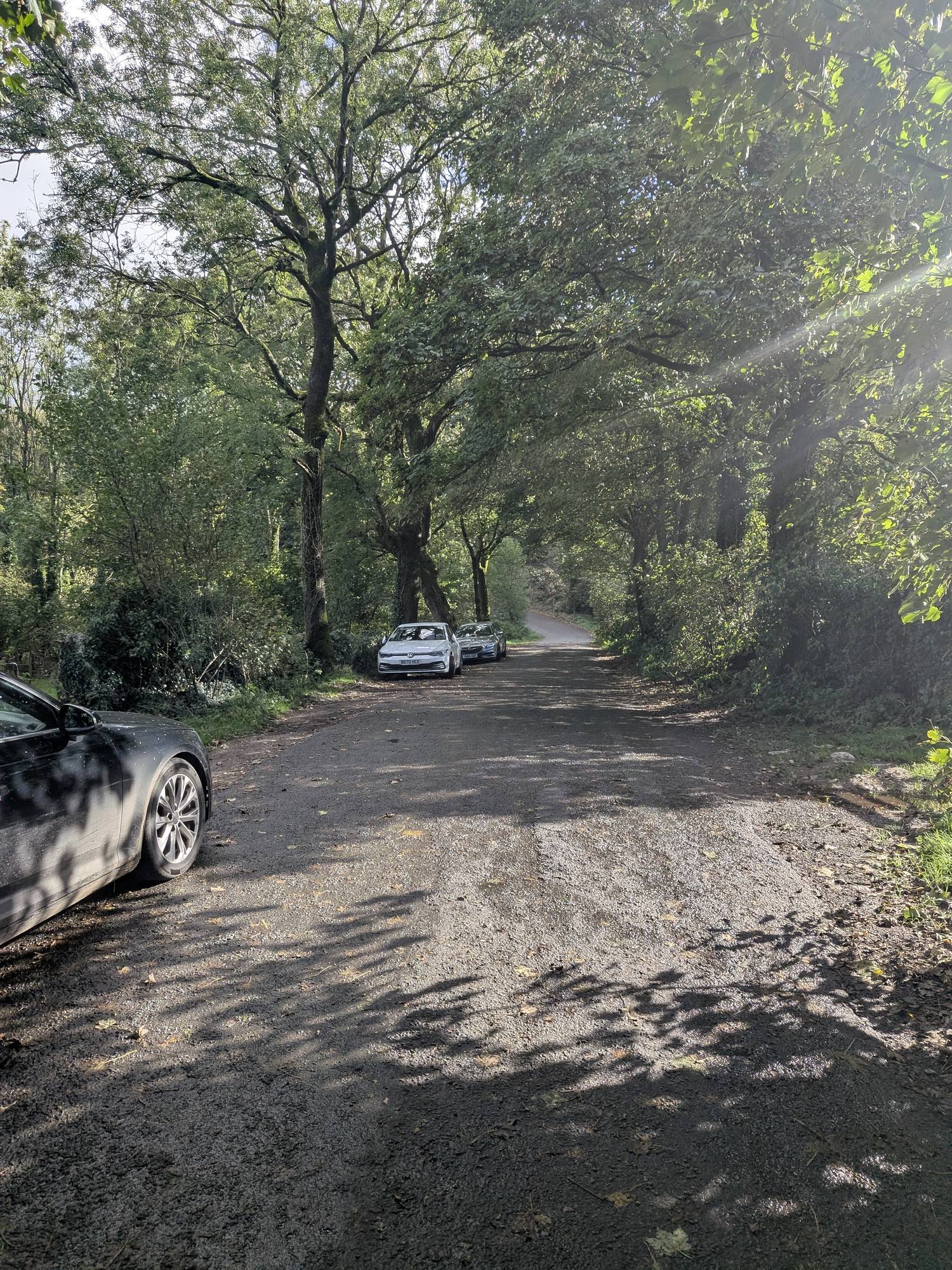 Cars parked in a tree-shaded layby on Hollins Lane, Silverdale