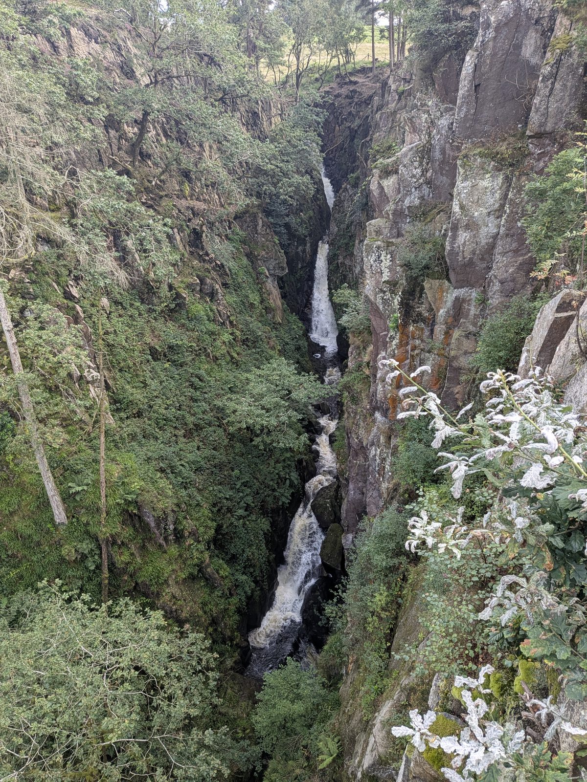Stanley Ghyll Force in its rock gorge, Eskdale
