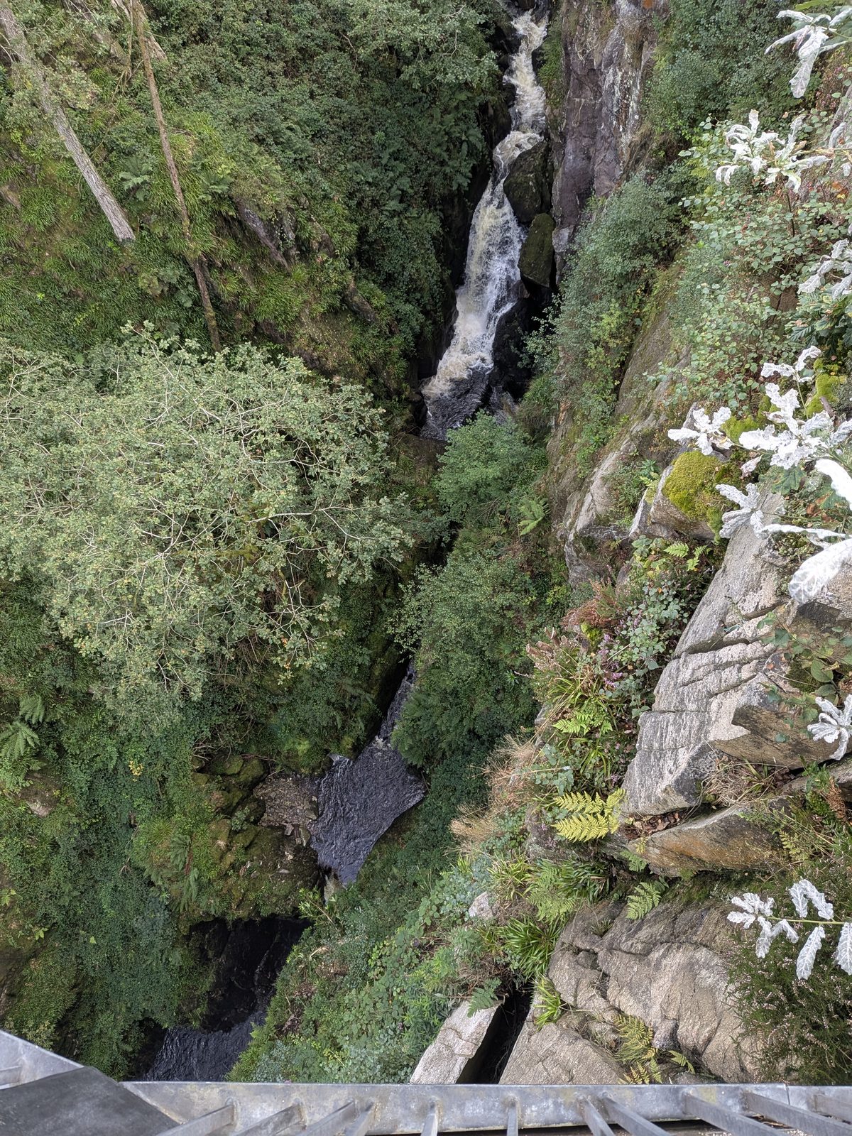 The viewing platform at Stanley Ghyll Force above the gorge, Eskdale