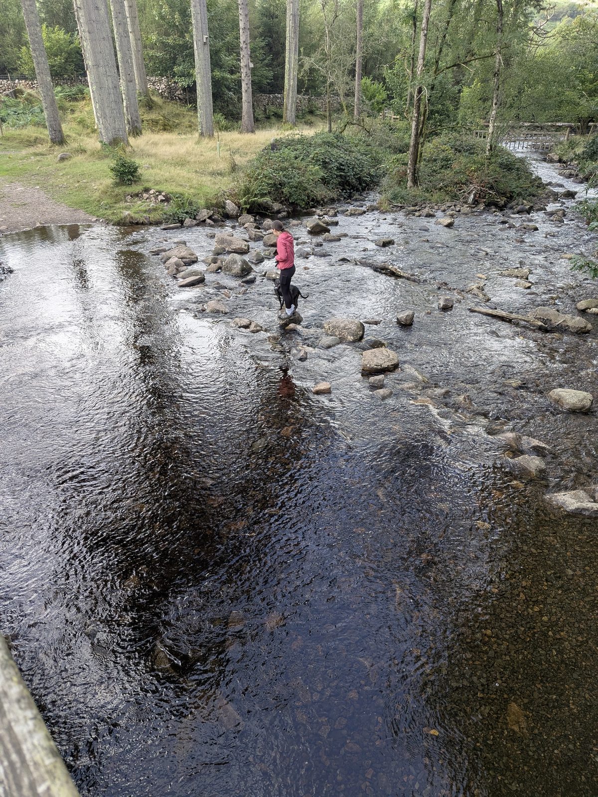 The stepping stones across the River Esk next to the bridge below St Catherine's Church, Eskdale