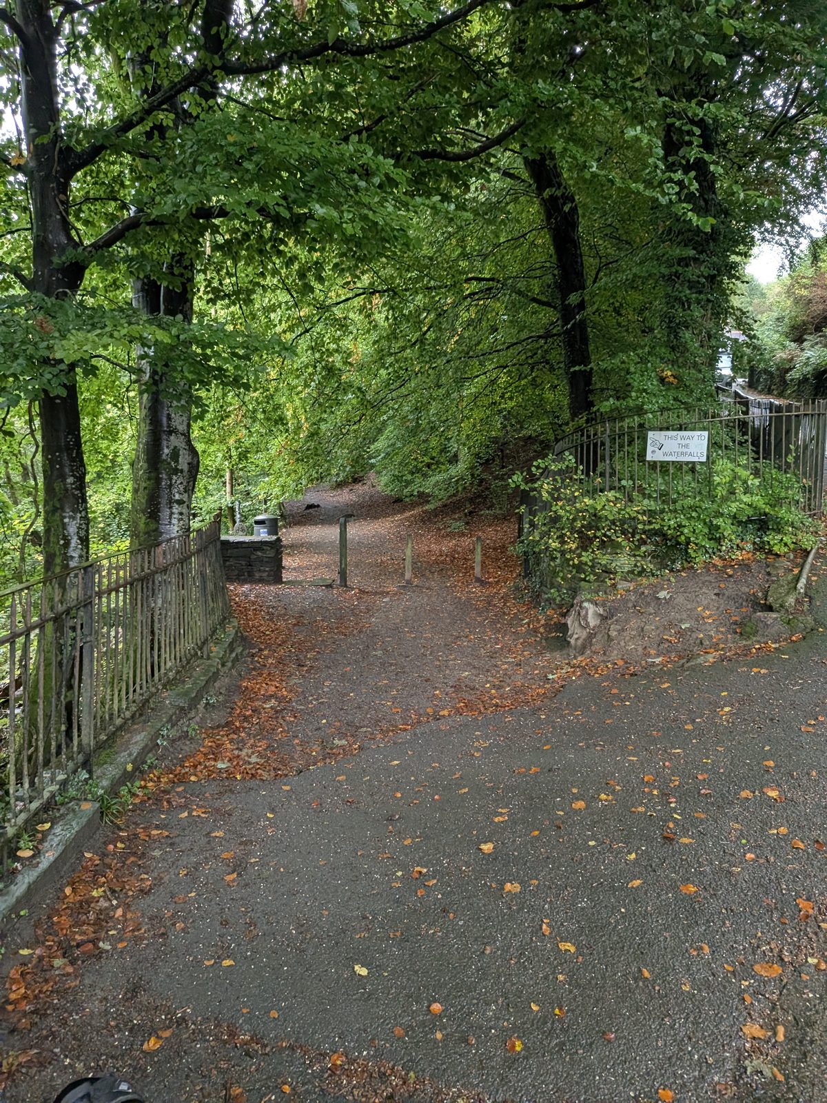A tarmac path with railings on the left leading into Stockghyll Woods under tall trees