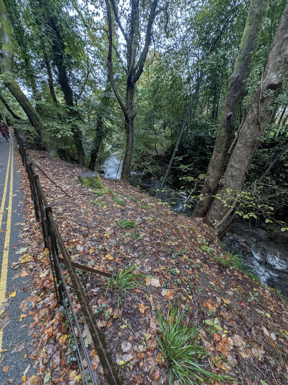 Metal railings beside a leaf-covered bank above the beck, with double yellow lines along the lane on the left
