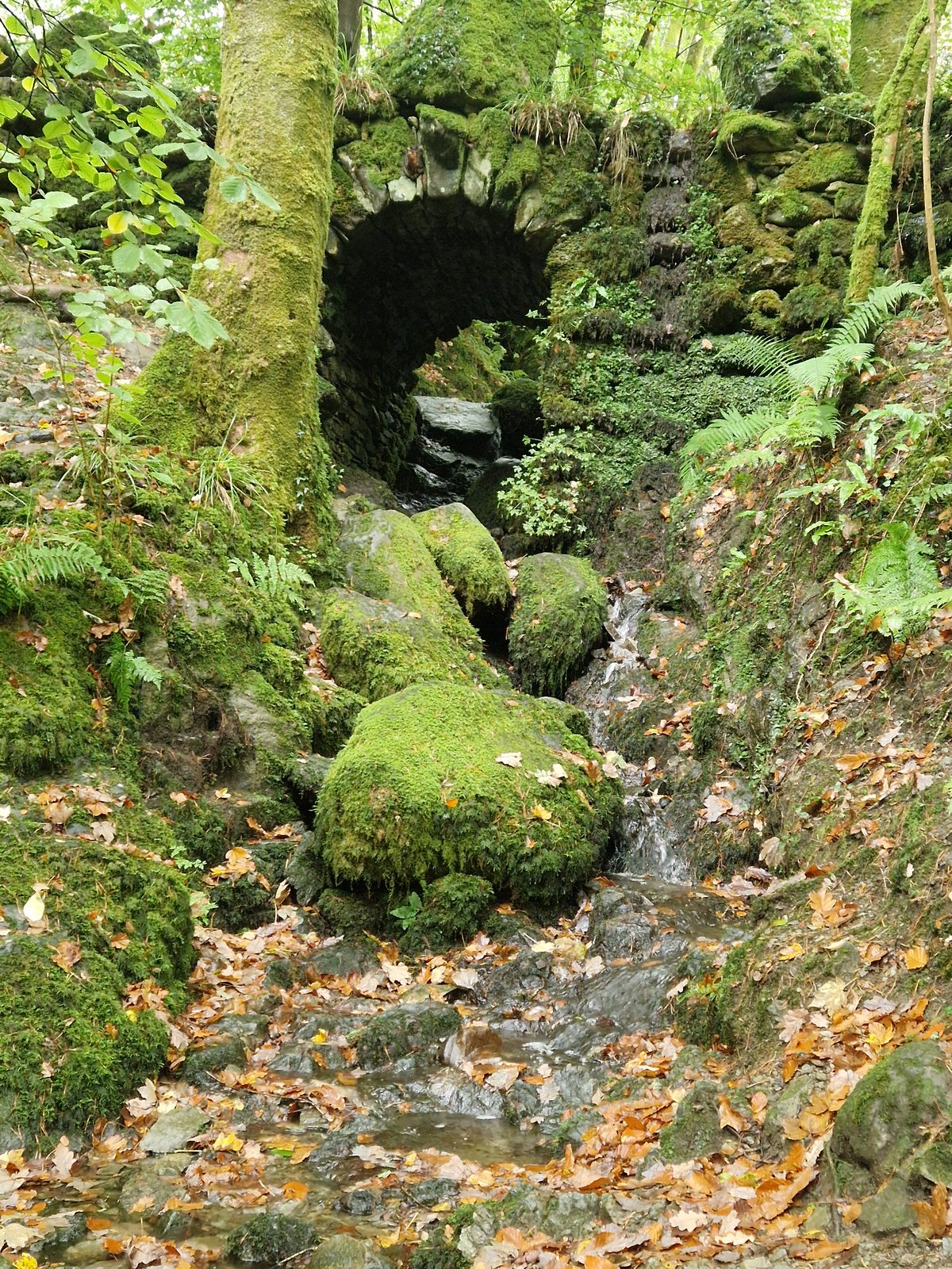 A small stone arch in a mossy bank above boulders furred with moss and scattered with autumn leaves