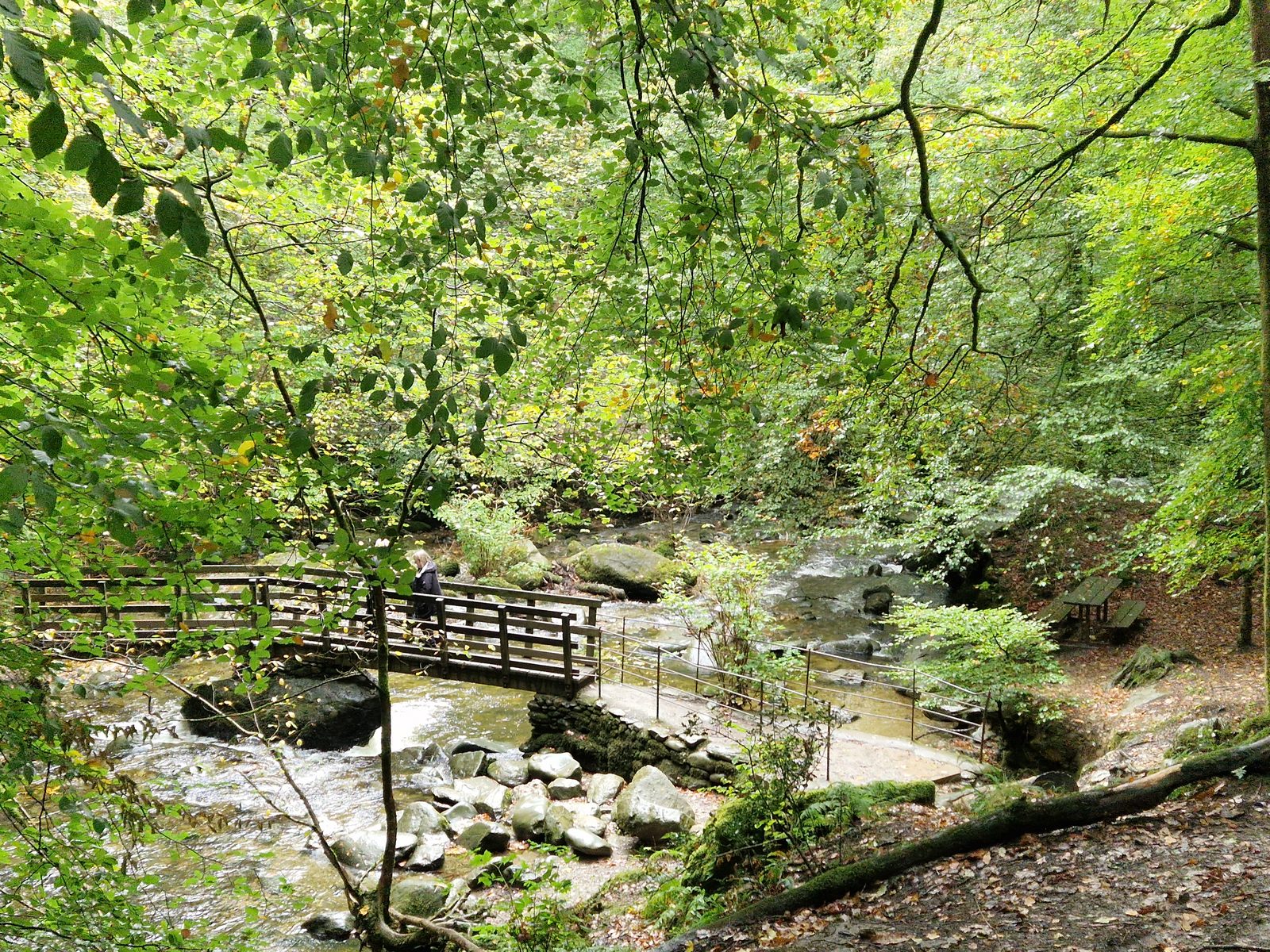 A wooden footbridge over the beck among boulders, in green woodland