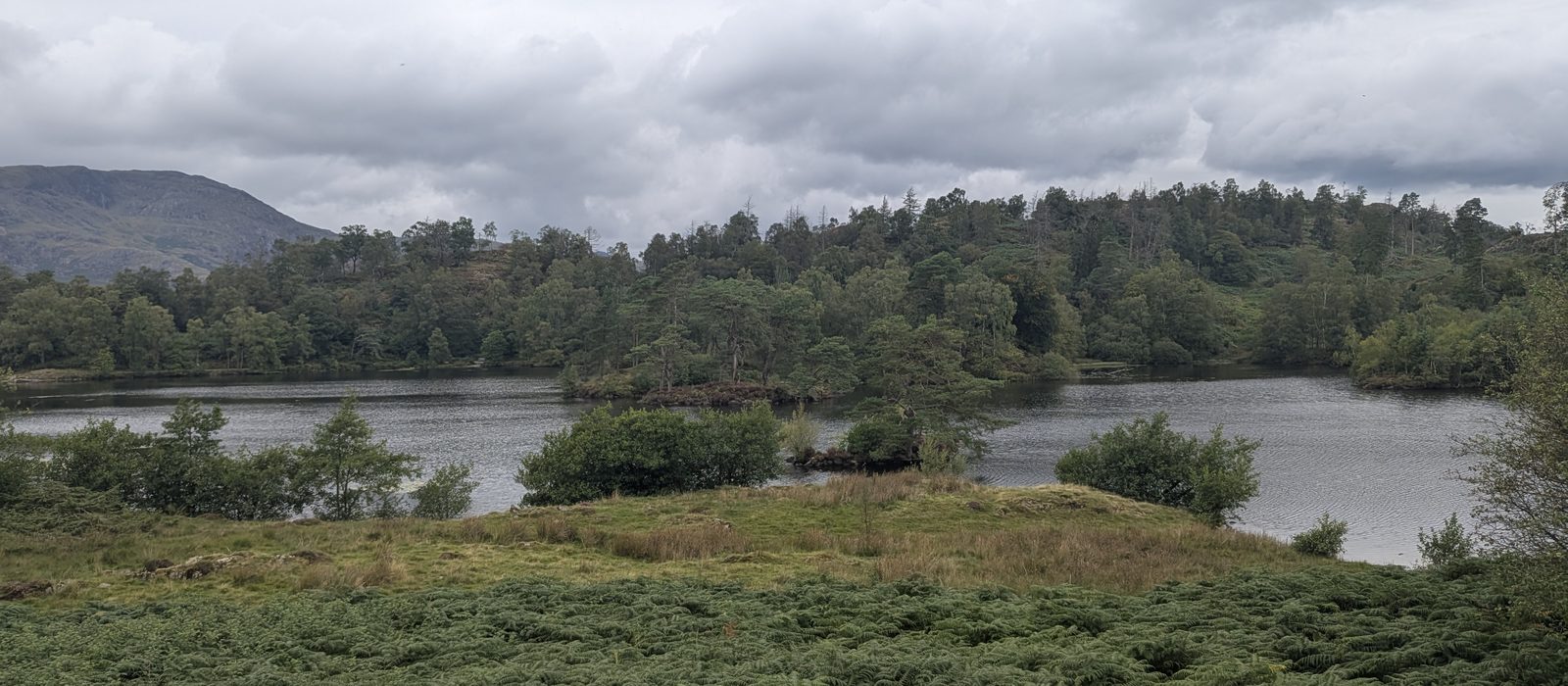 Tarn Hows seen across the bracken with a fell rising behind, near Hawkshead, Lake District