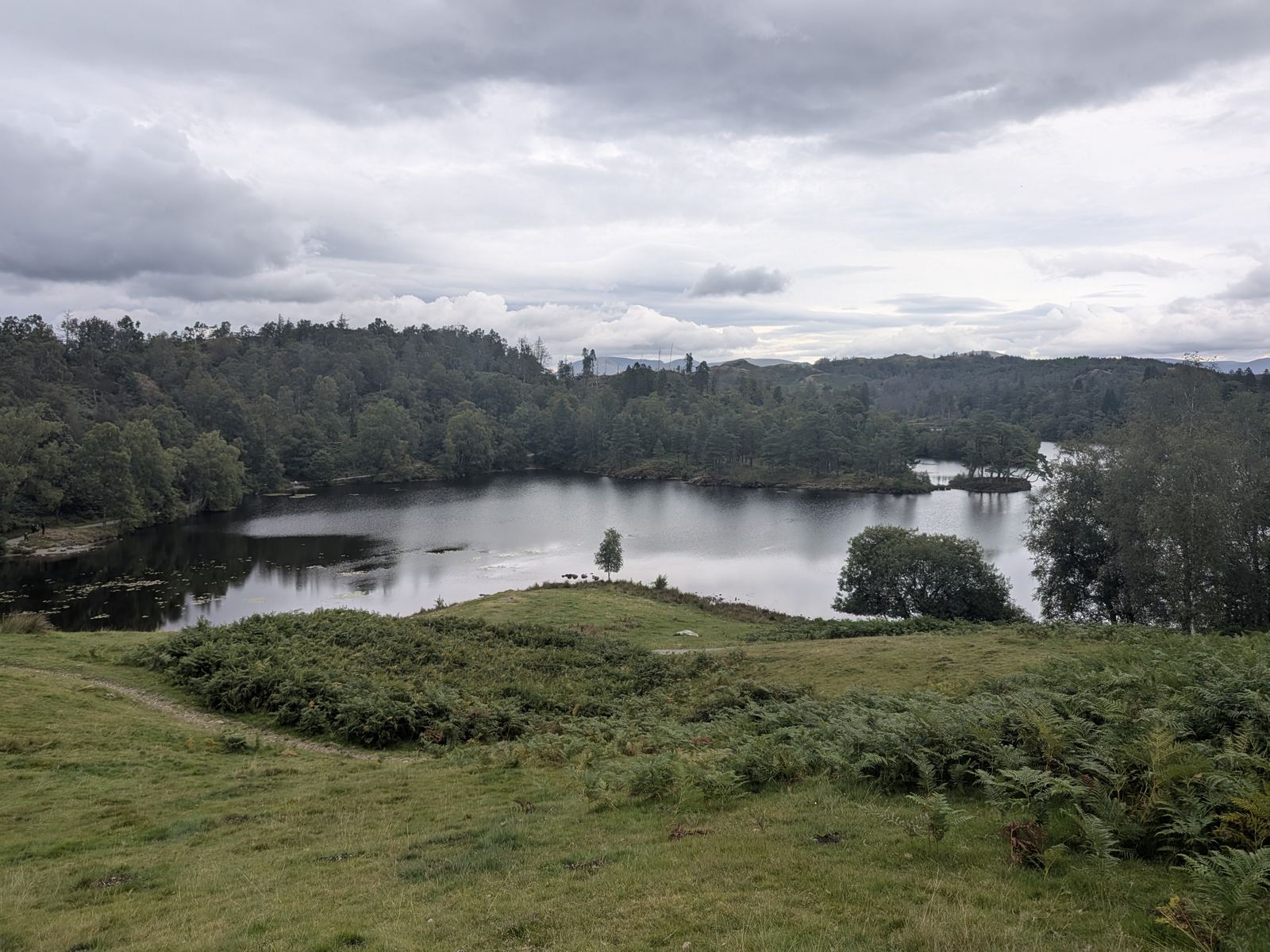 Tarn Hows with its wooded islands and the fells beyond, under a grey summer sky, near Coniston, Lake District