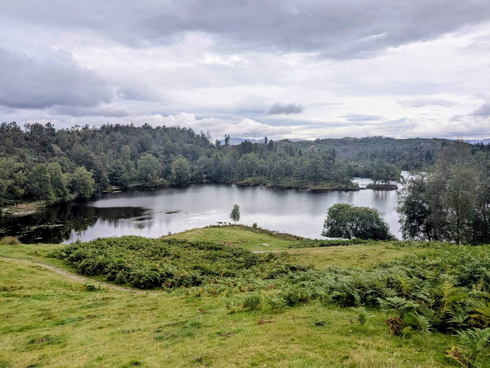 Tarn Hows with its wooded islands and the fells beyond, near Hawkshead, Lake District