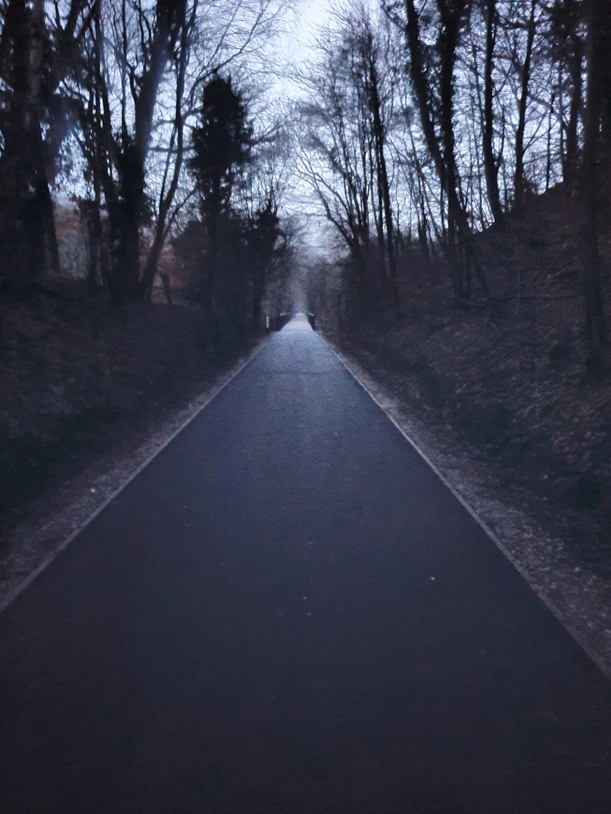 A section of the Keswick to Threlkeld railway trail