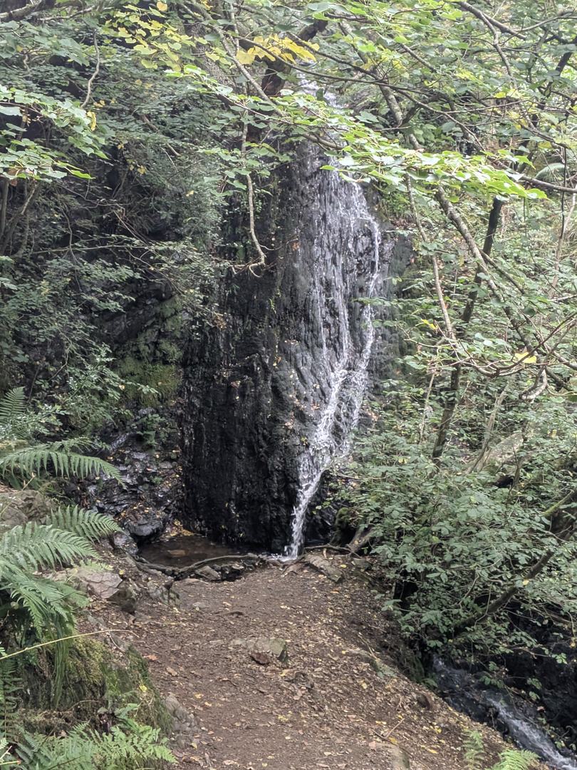 The tall main drop of Tom Gill waterfall in a shaded rocky gully beneath the trees