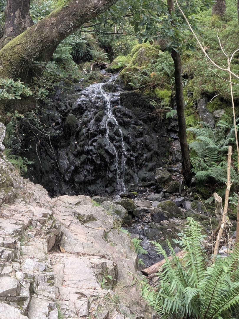 Tom Gill waterfall dropping over dark rock through woodland below Tarn Hows, with ferns in the foreground