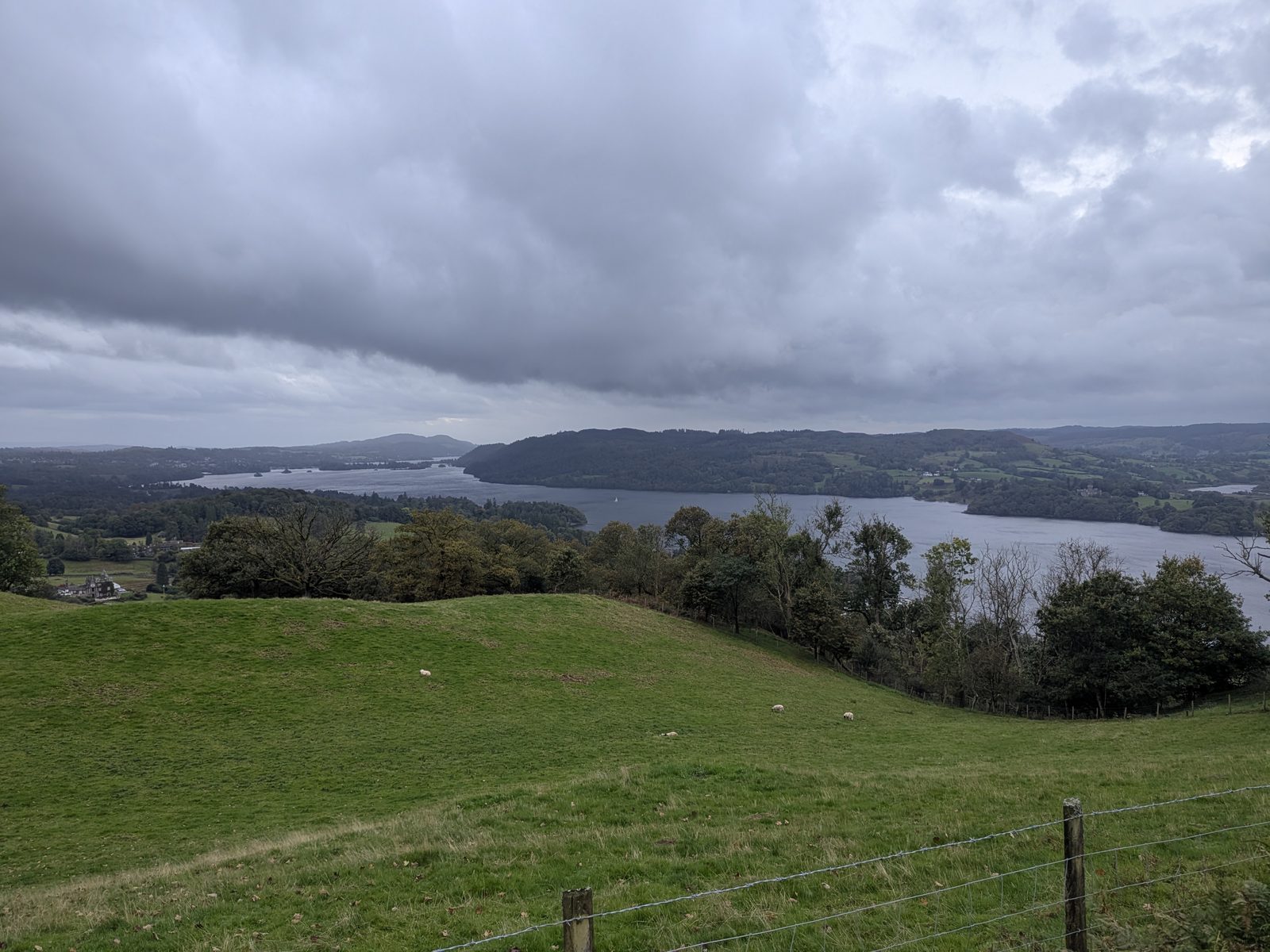 A green field sloping towards Windermere under cloud