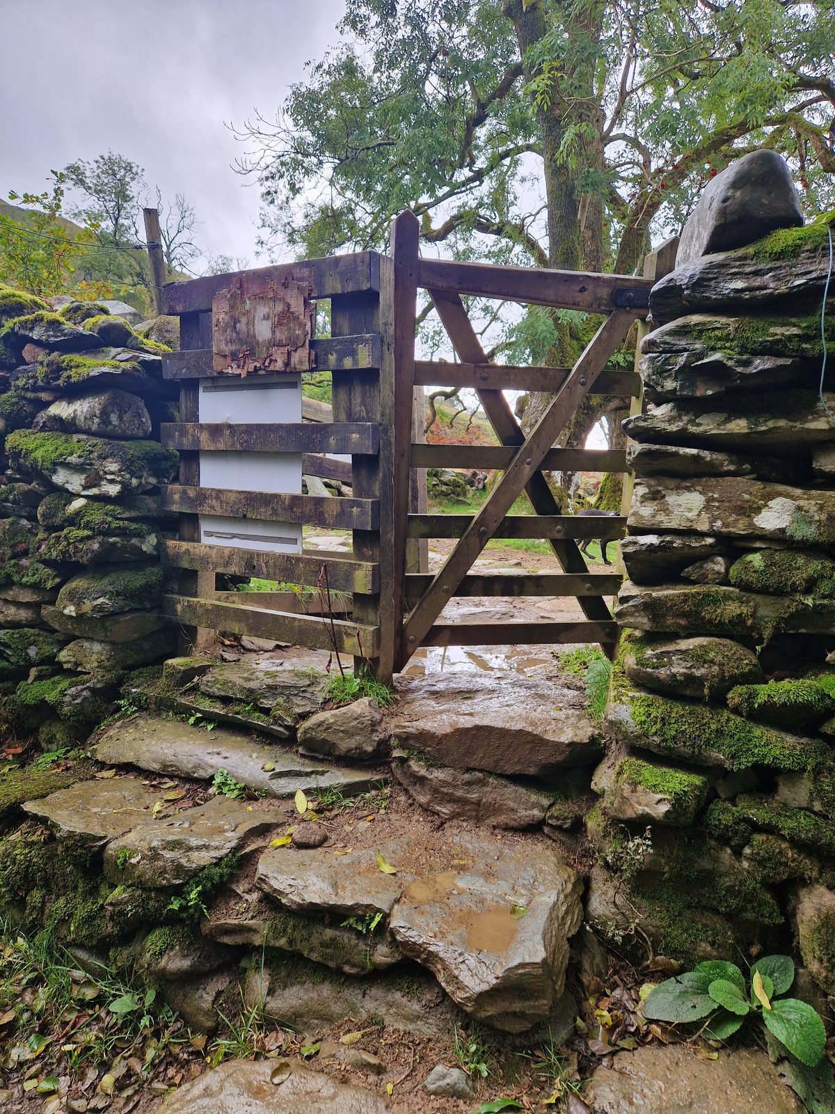 A wooden gate set in a stone wall, with flat stone steps below it