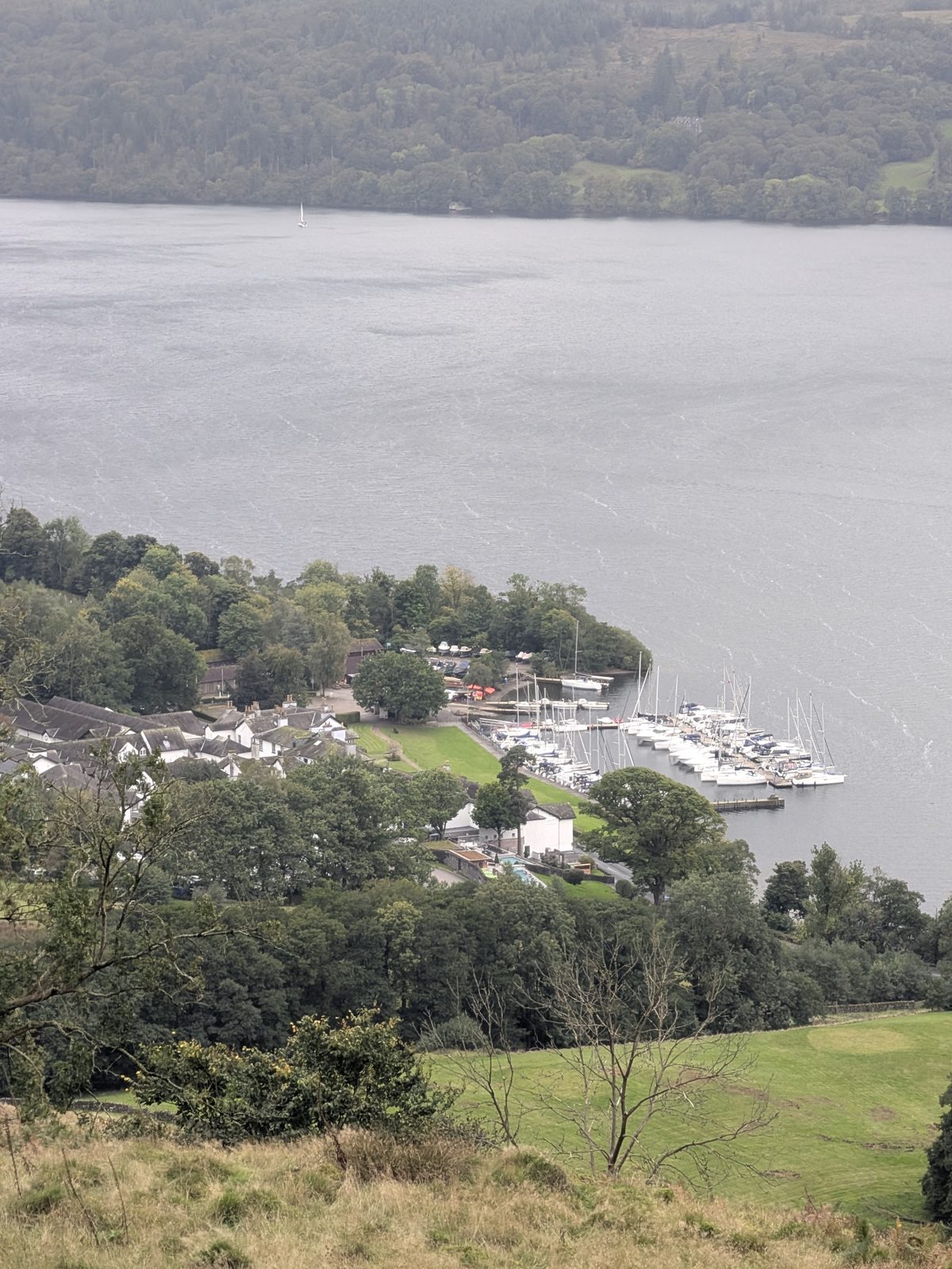 A lake seen from above through trees, with boats moored in a bay below