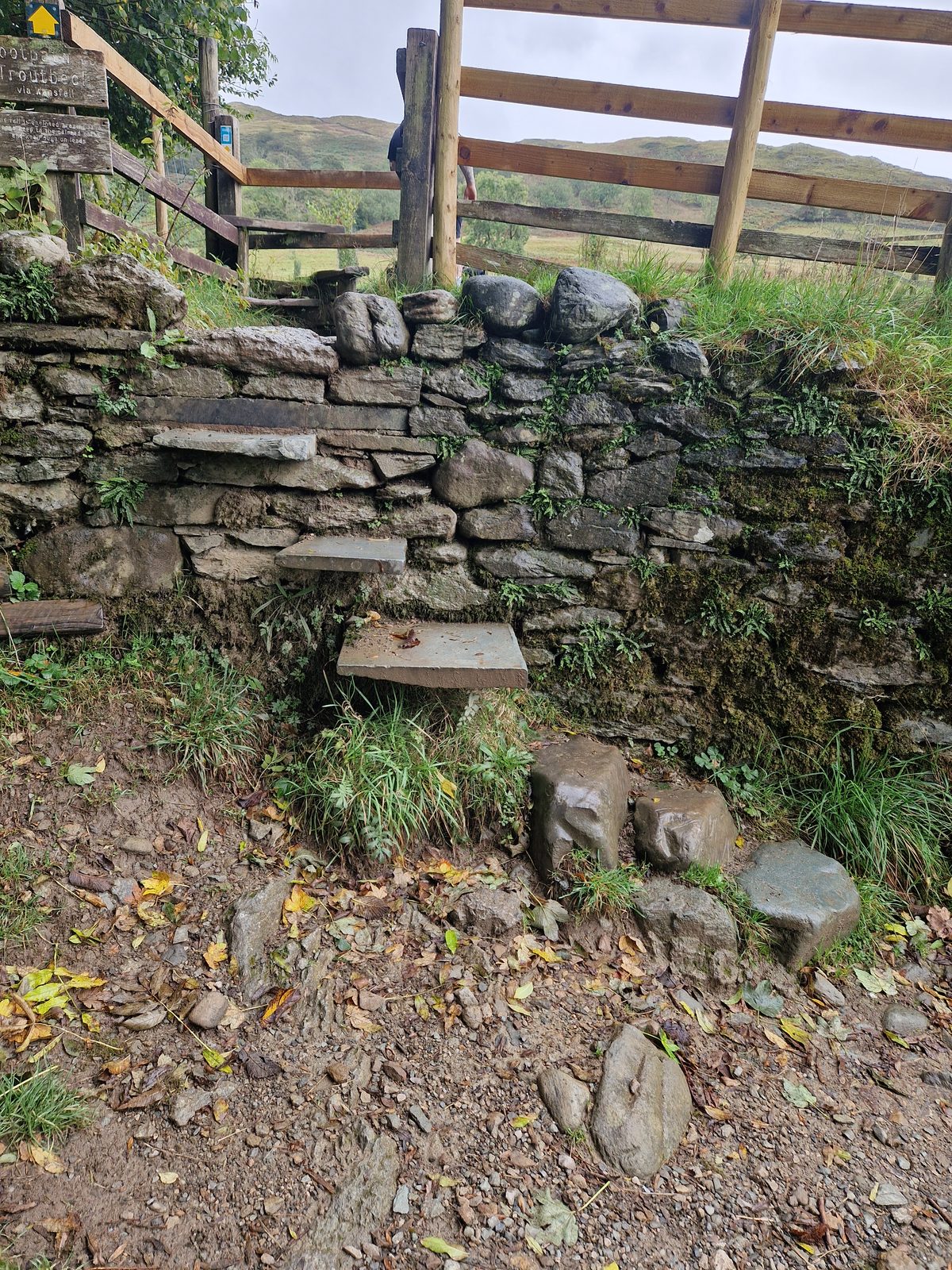 A stone step stile in a dry-stone wall with a wooden fence beside it
