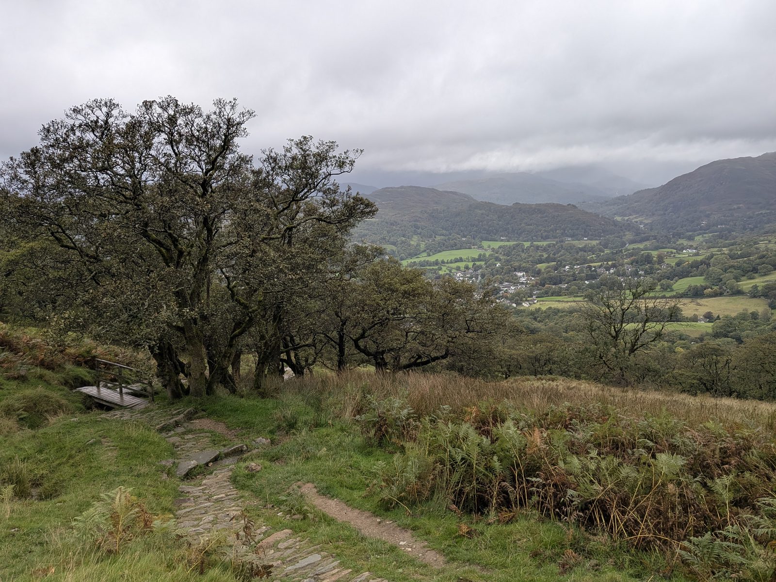 A view back from the climb over bracken and a pitched path, under a grey sky