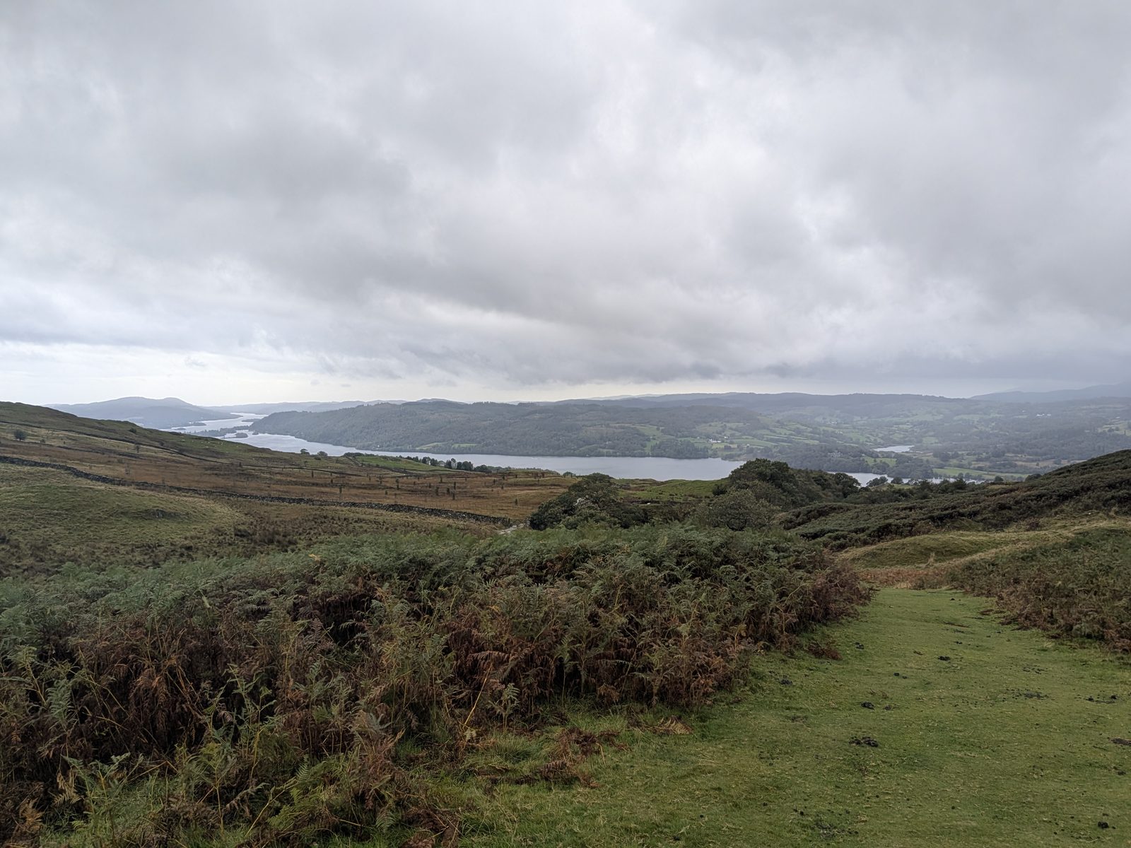 A view over bracken and grass to Windermere under a grey sky
