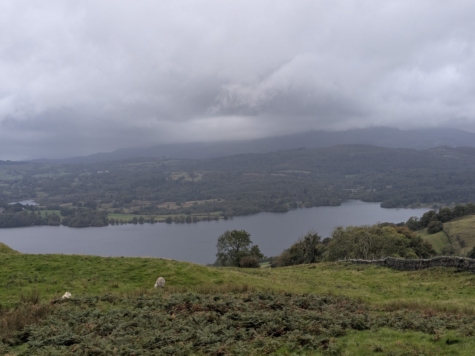 Windermere seen from the lane, with fells beyond