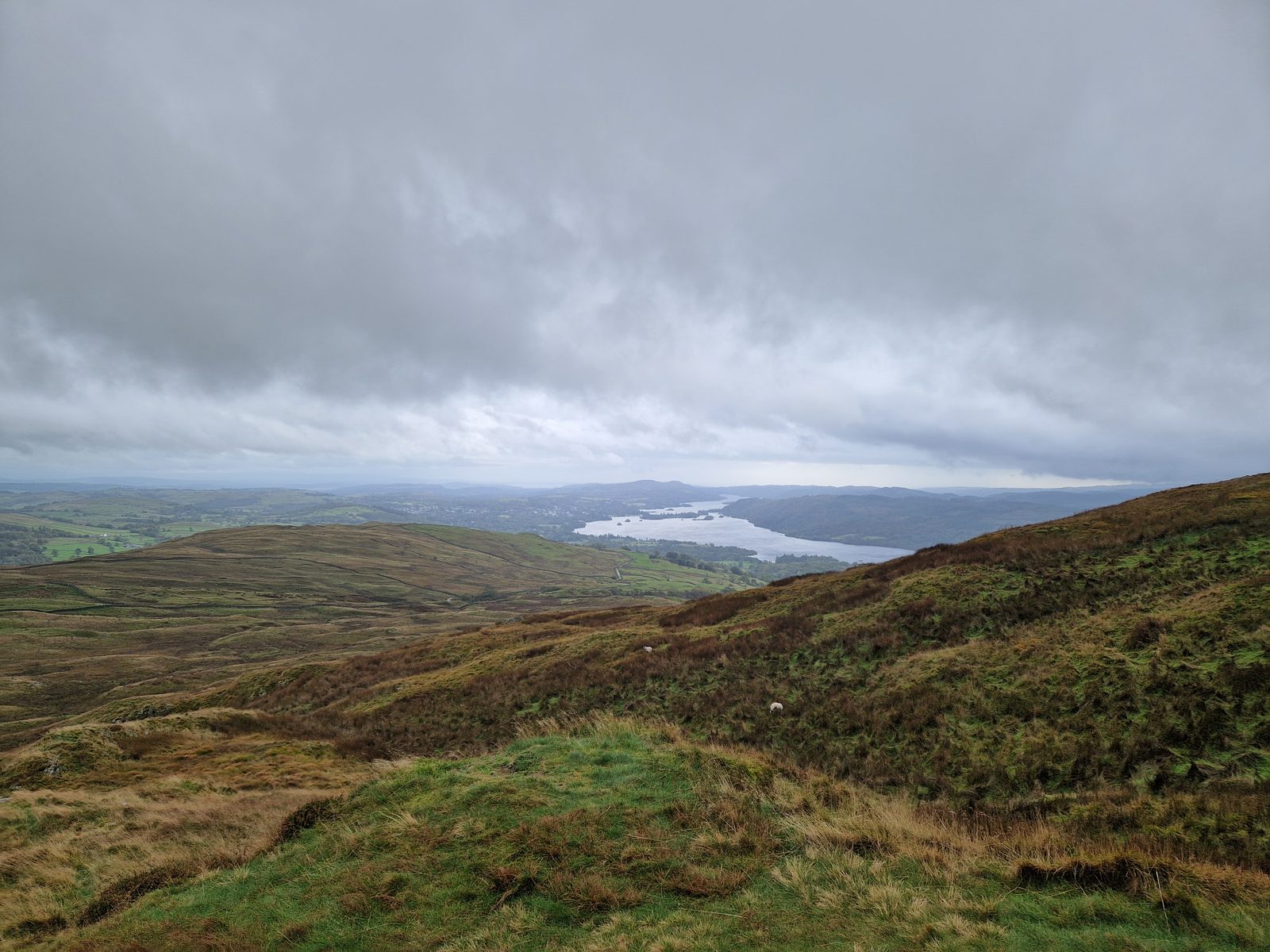Windermere under heavy cloud, seen from the slopes of Wansfell with brown hillside in the foreground