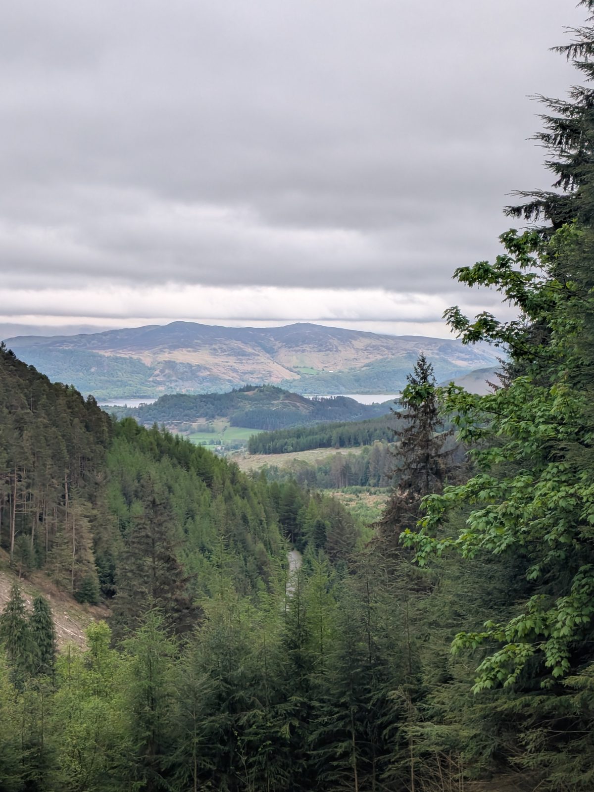 The forest dropping away down the pass towards Derwentwater and the fells